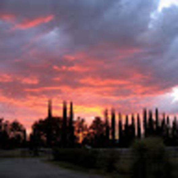 Meet your Posher, Rachel - Picture 1 of 1